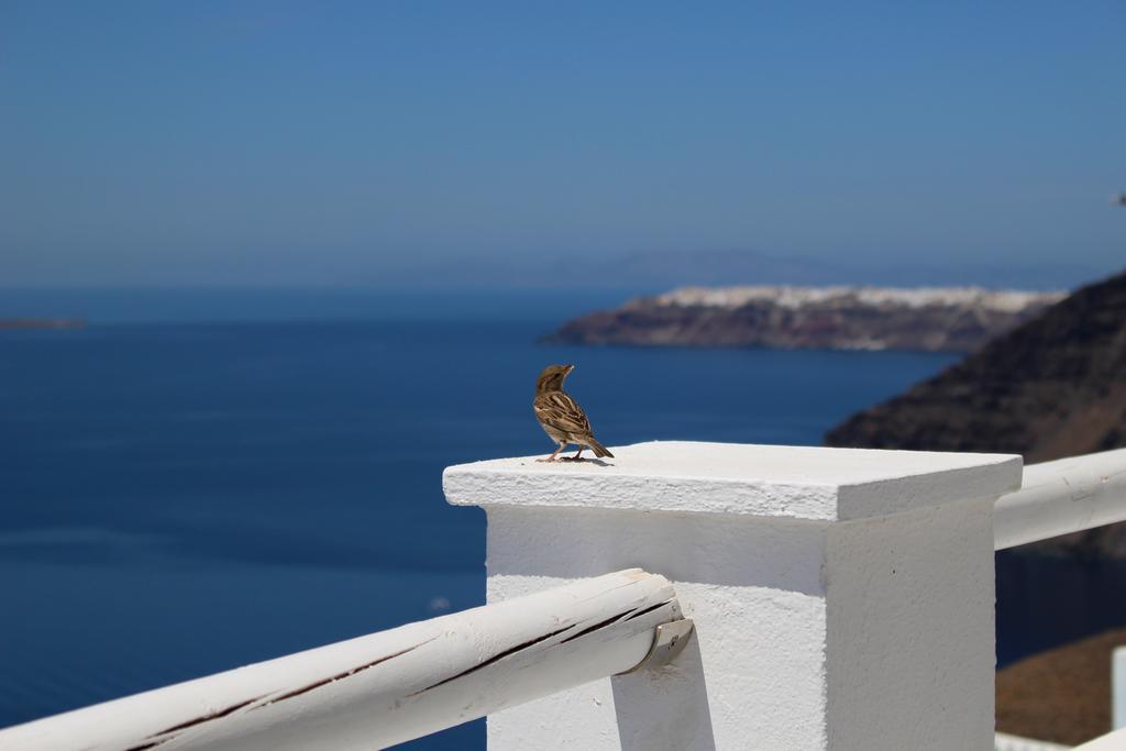 Asma Suites Fira  Exteriér fotografie